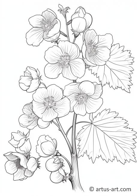 Page de coloriage de fleur de groseille à maquereau